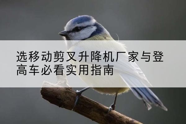 高坪电动升降机厂家-选移动剪叉升降机厂家与登高车必看实用指南