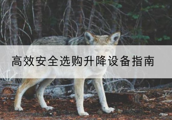 高坪升降货梯厂家推荐-*安全选购升降设备指南